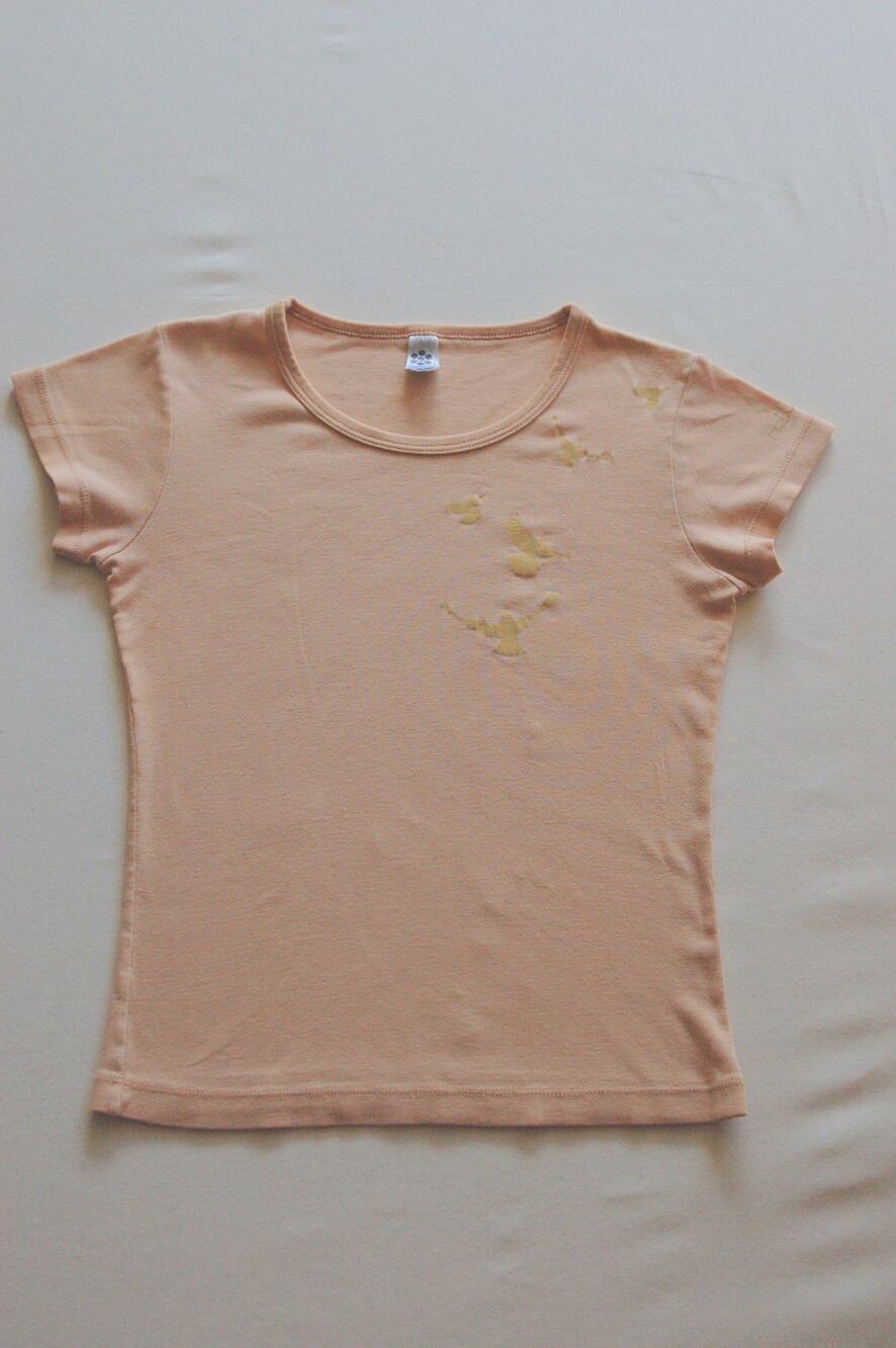 Vintage American Apparel Classic Girl Baby Tee Peach Bird Graphic Womens Small S